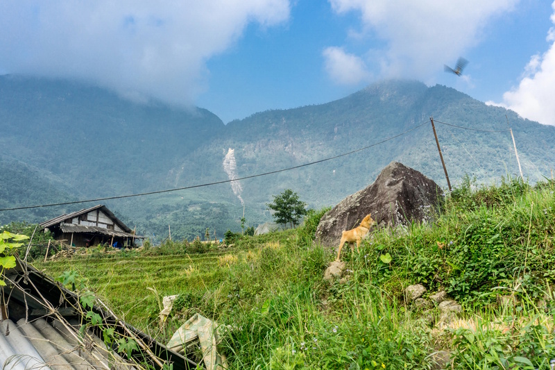 Sapa homestay