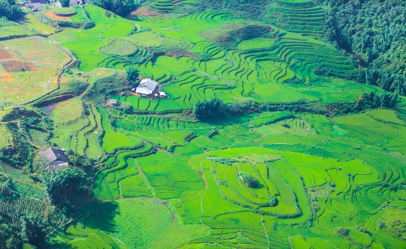 Sapa Muong Hoa Vallei