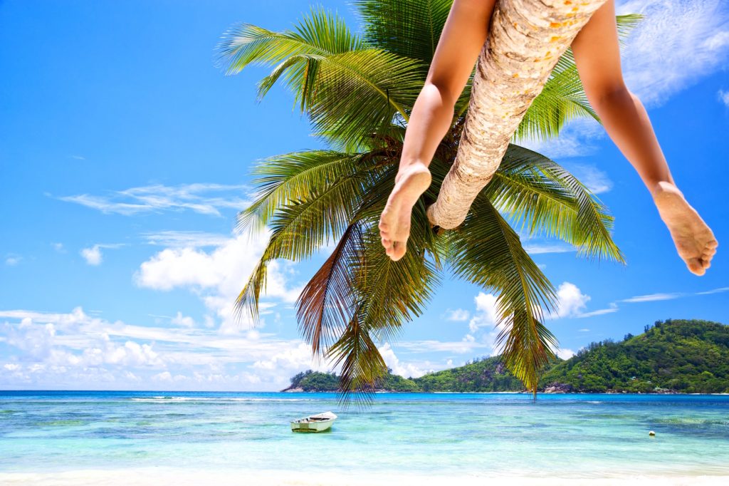 Seychellen reisorganisaties