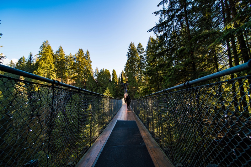 Vancouver Capilano hangbrug