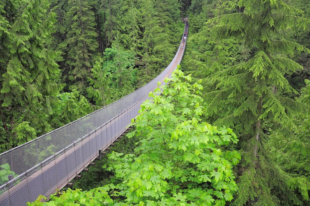 Vancouver Capilano Suspension Bridge