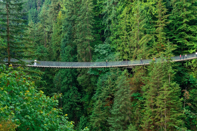 Vancouver Capilano Suspension Bridge hangbrug