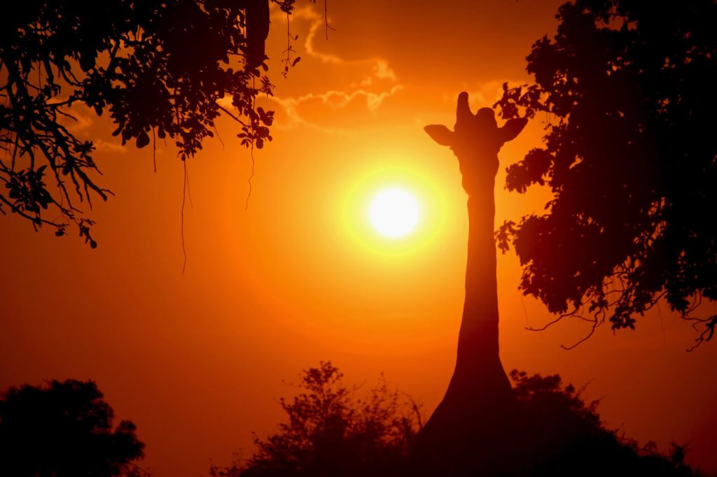 Zambia vakantie