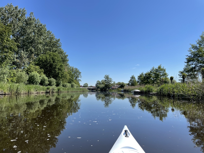 Bolsward natuur
