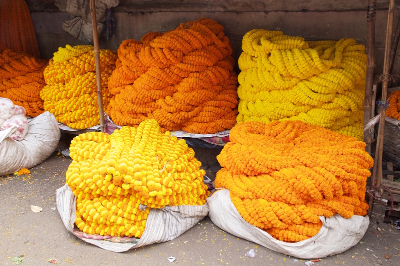 Kolkata bloemenmarkt