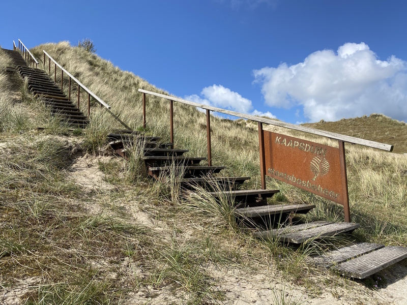 Terschelling Kaapsduin trap