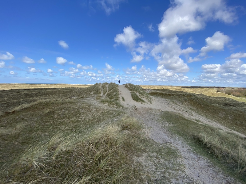 Terschelling Kaapsduin
