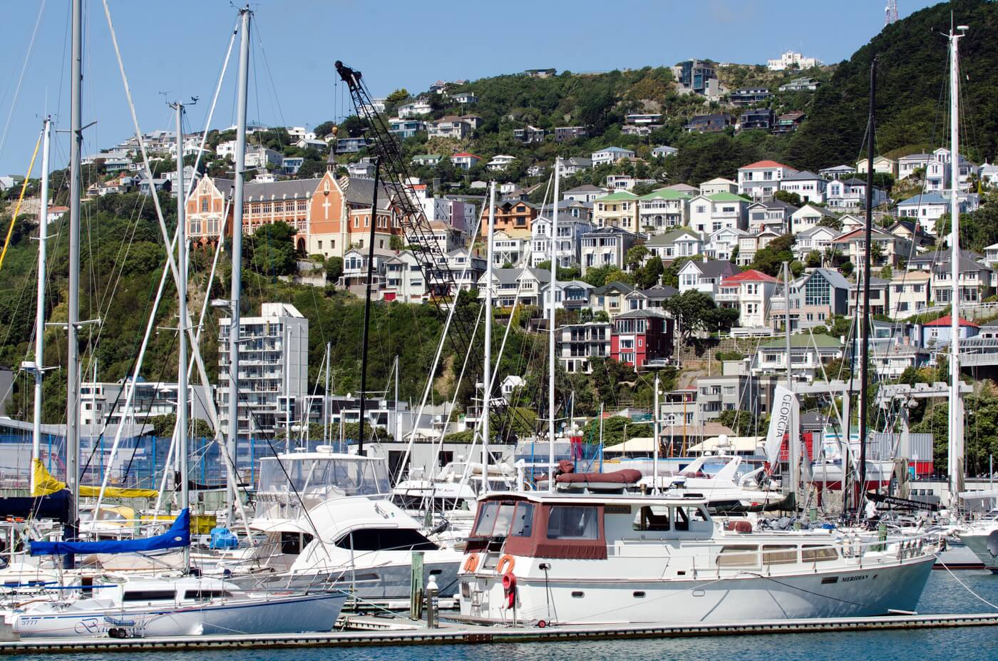 Wellington wat te doen
