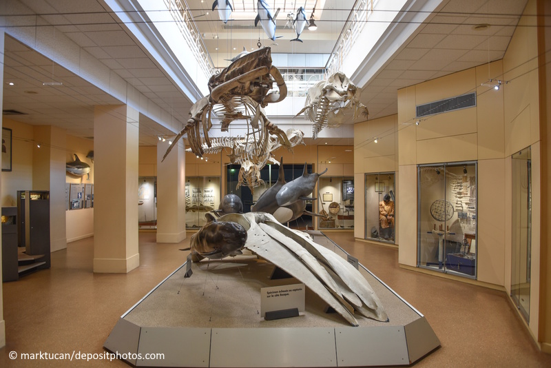 Biarritz Aquarium tentoonstelling