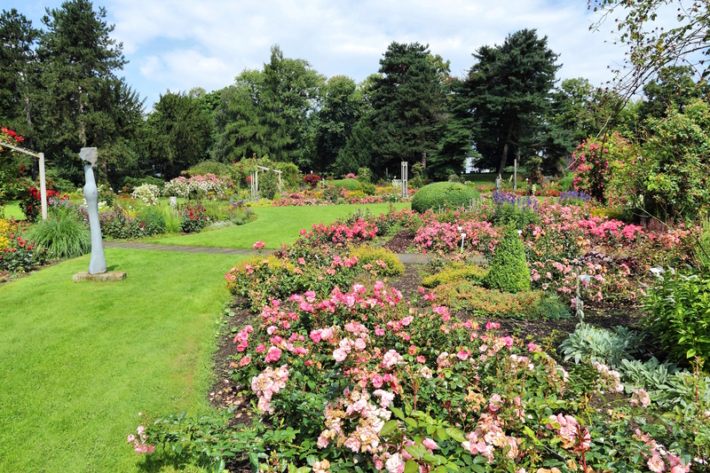 Dortmund Westfalenpark rozentuin
