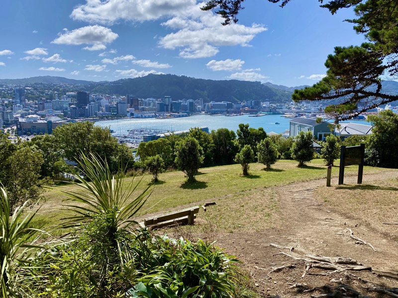 Mount Victoria in Wellington